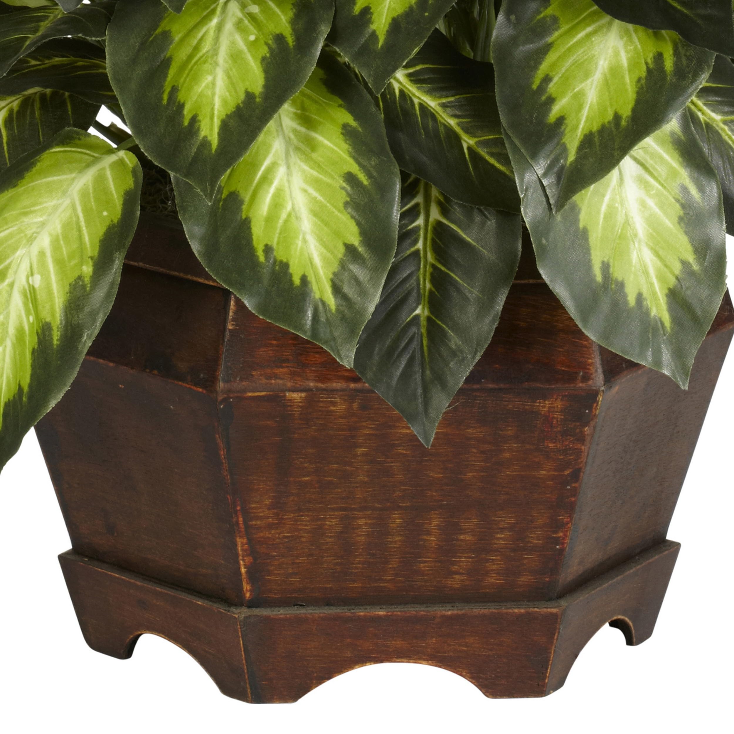 Amazon.com: Nearly Natural 24in Artificial Dieffenbachia Silk